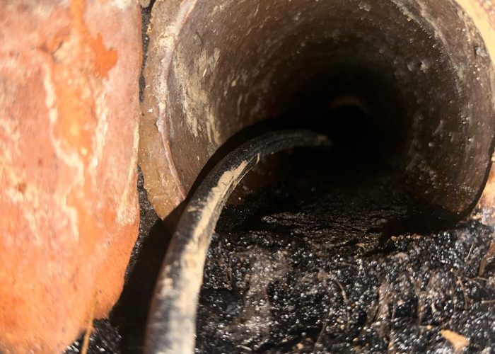 WhatsApp Image 2025-08-15 at 13.25.28 (2)